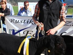 2019_ausstellung polling_385